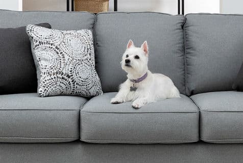 How to clean the stains of the plush fabric sofa