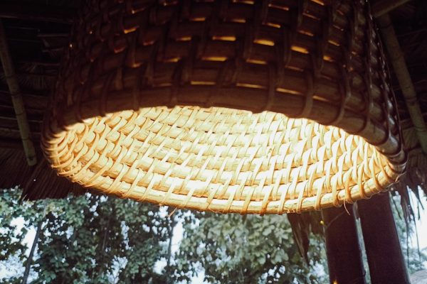 Photo gooseneck table lamp