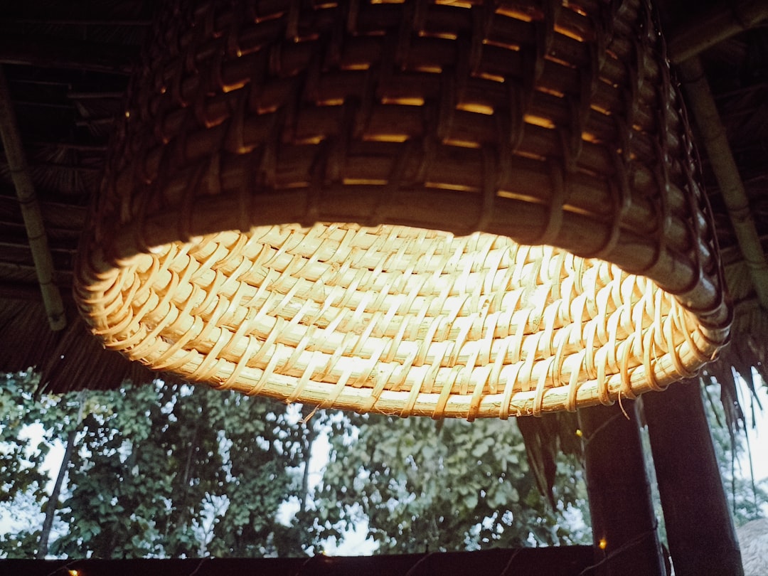 Photo gooseneck table lamp