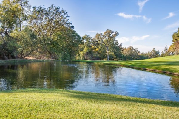 Photo brushed nickel wall sconce